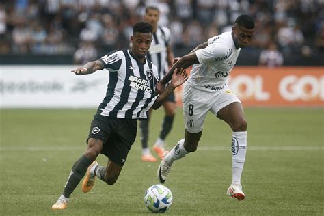 placar botafogo e santos